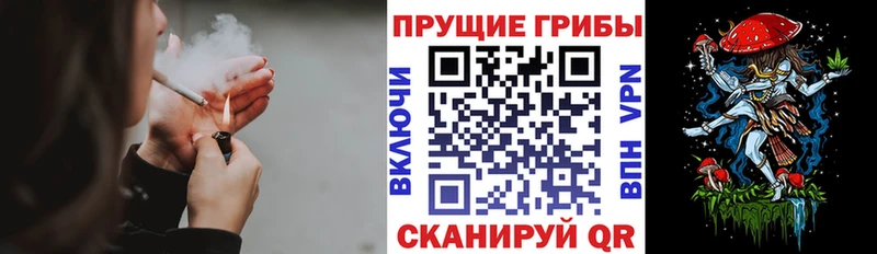 Псилоцибиновые грибы GOLDEN TEACHER дарнет шоп Нариманов